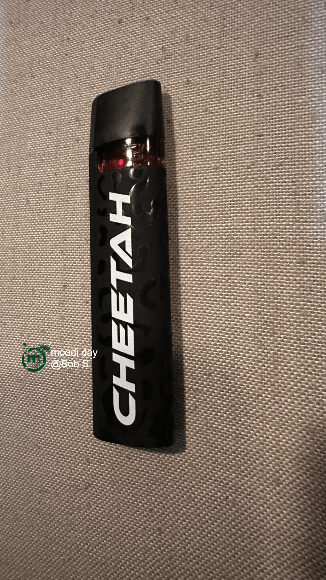 Cheetah Reviews | Moodi Day