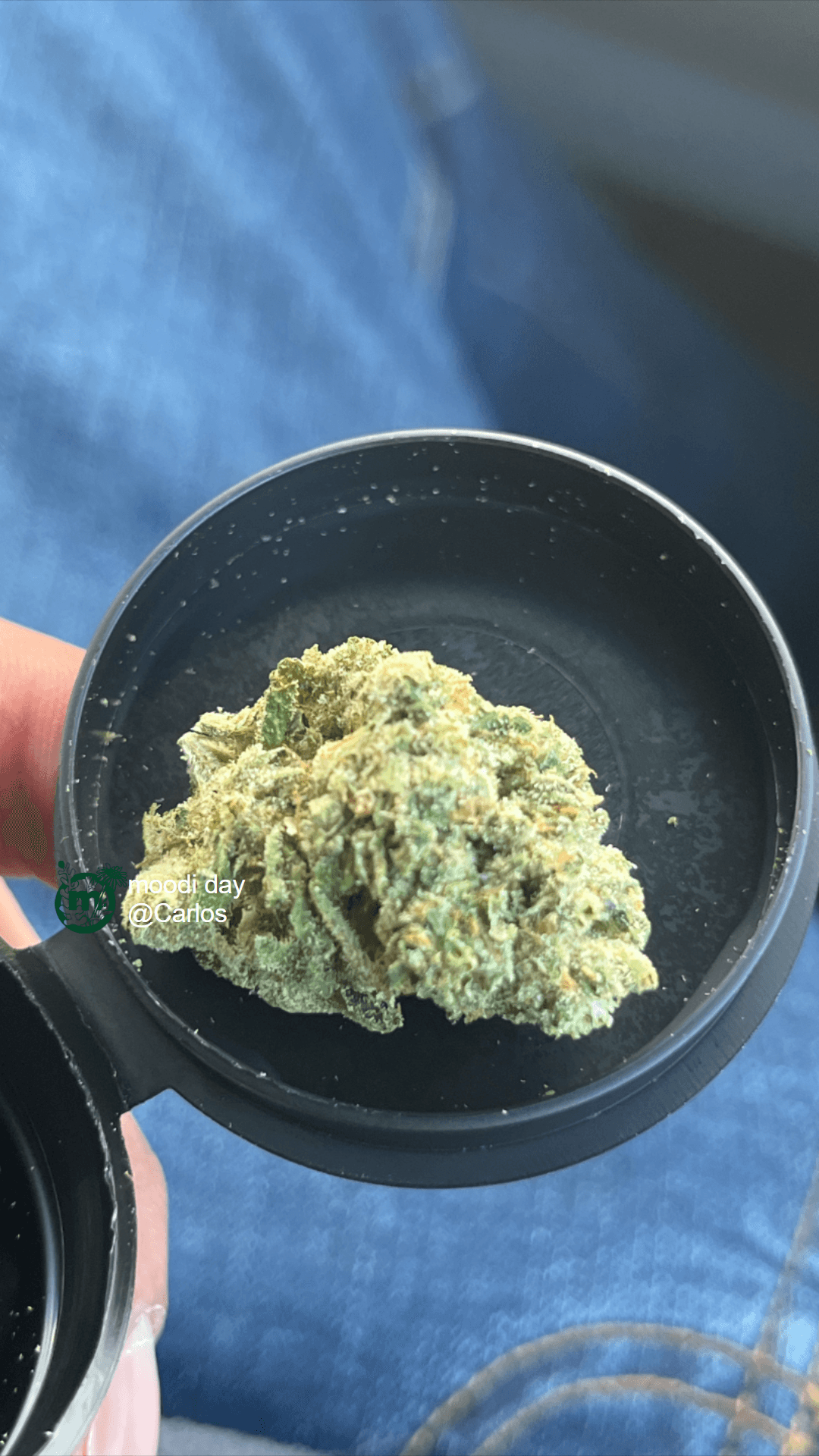 vapes flavors disposable Ozone Premium Cannabis