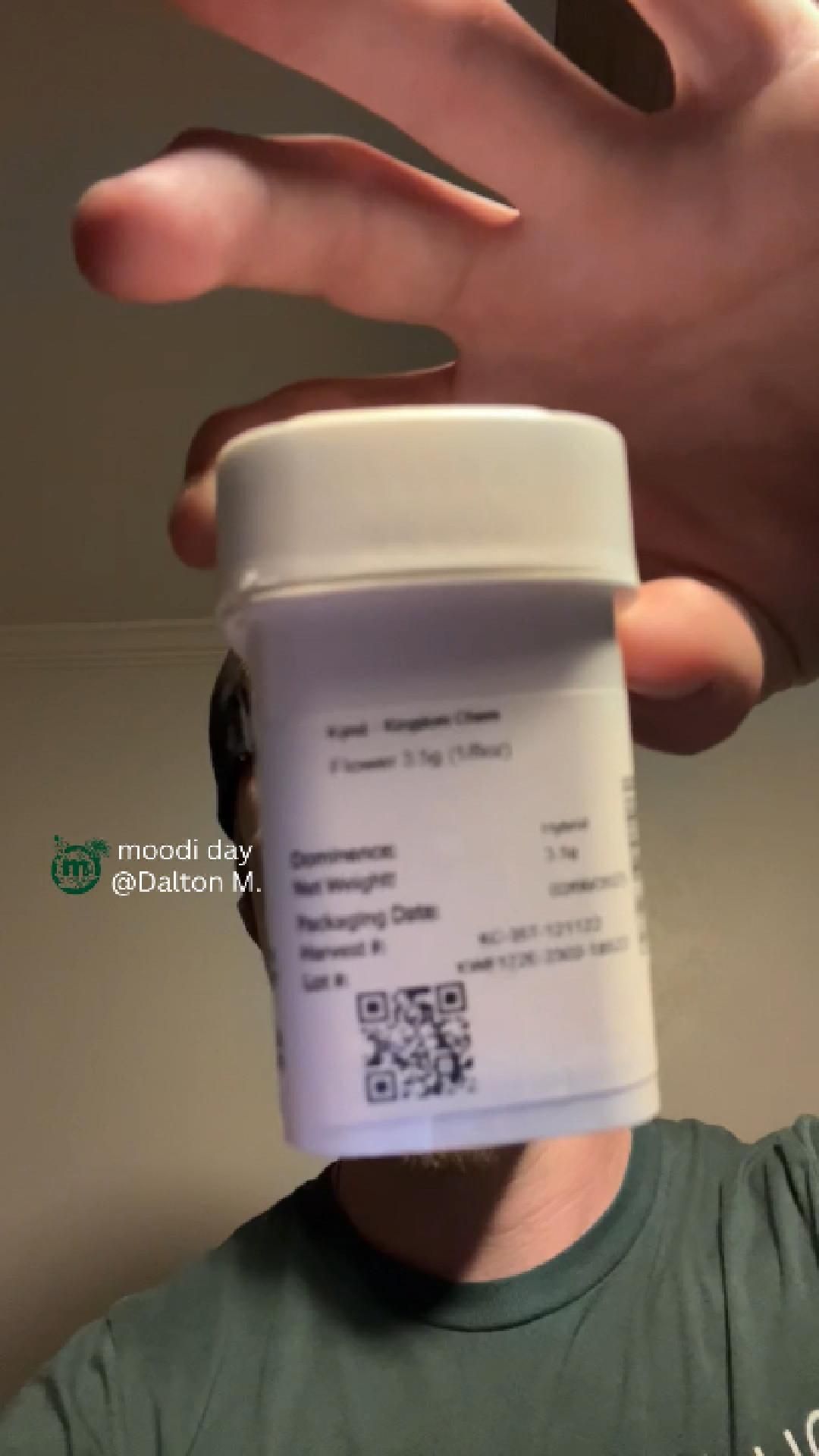 Kynd Reviews | Moodi Day