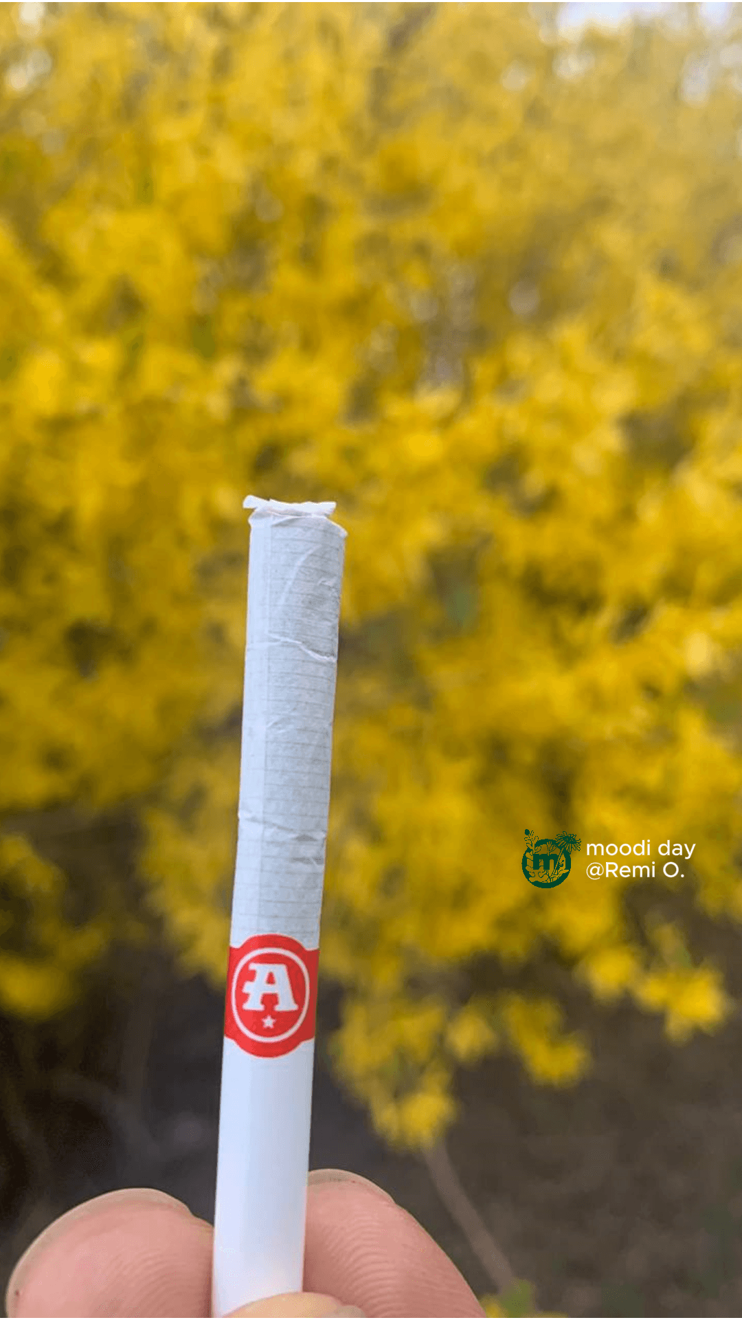 does smoking cigarettes cause headaches How does thirdhand smoke affect me?
